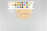 五色鳥藏品圖，第12張